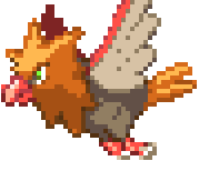 bird