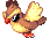 bird